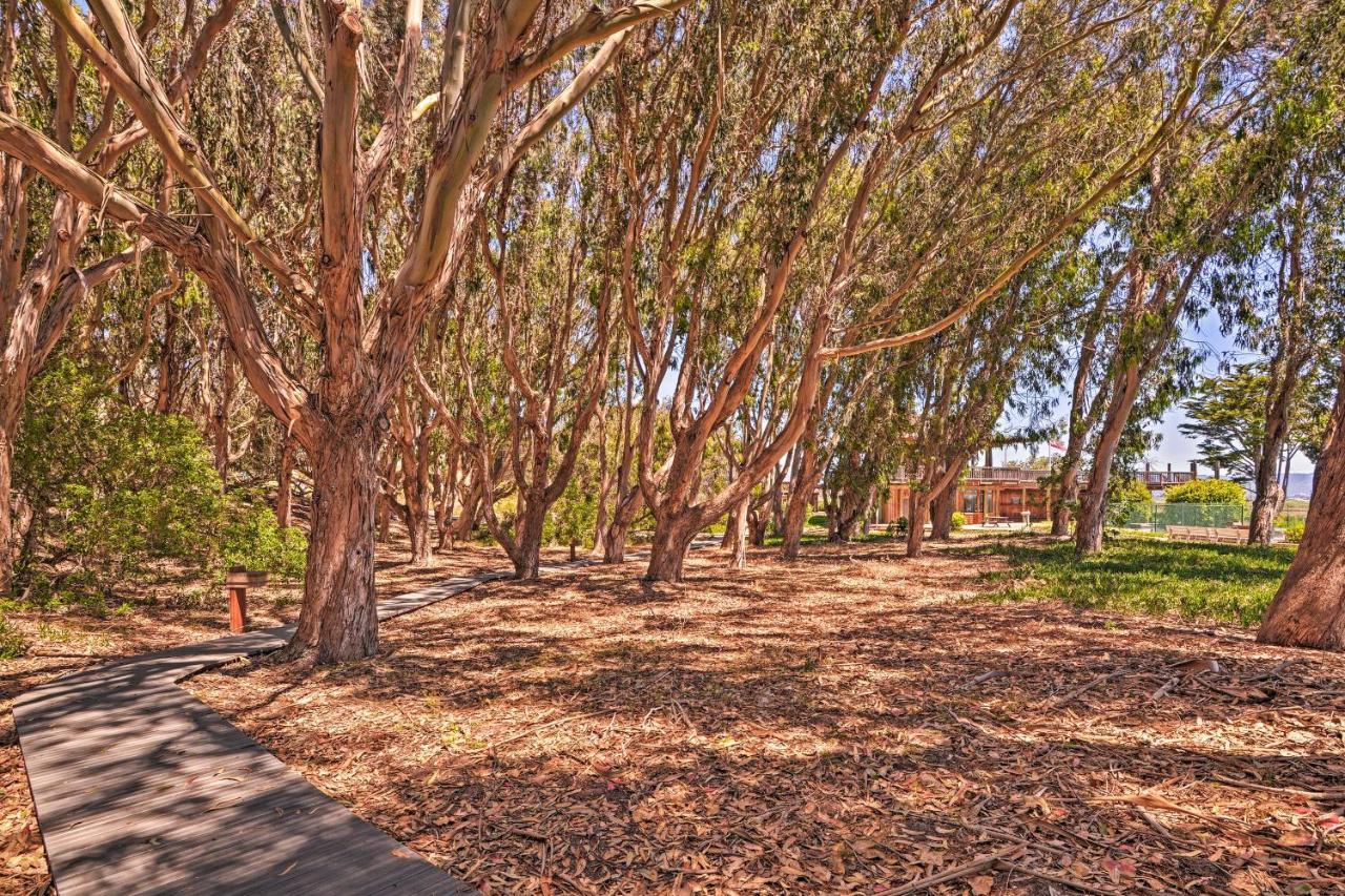 Beachfront Condo With Monterey Bay Views! Уотсънвил Екстериор снимка